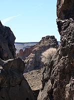Mojave reserve (26).JPG